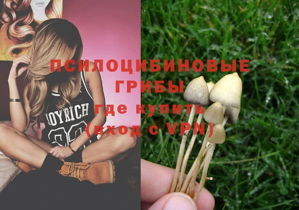 ECSTASY Армянск